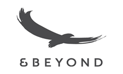 and-beyond-logo
